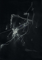 http://www.actionaqua.com/files/gimgs/th-129_20250322dji0008 invert.jpg